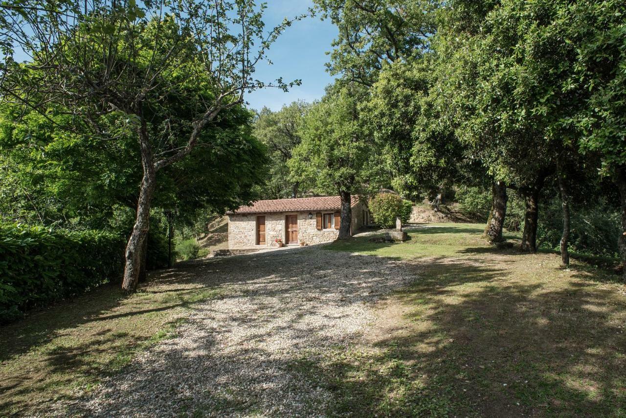 Casa Rancacci Vendégház Mercatale  Kültér fotó